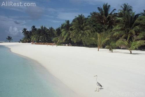 Vakarufalhi Island Resort 2